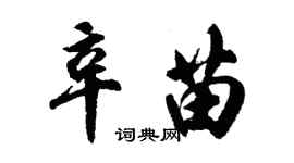 胡問遂辛苗行書個性簽名怎么寫