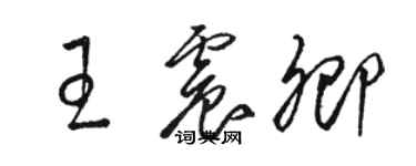 駱恆光王震卿草書個性簽名怎么寫