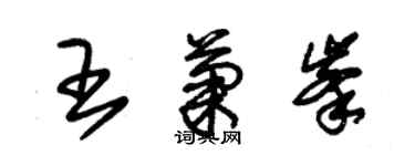 朱錫榮王菊峰草書個性簽名怎么寫