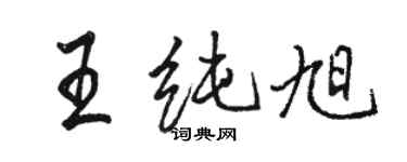 駱恆光王純旭行書個性簽名怎么寫