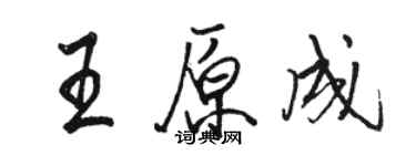 駱恆光王原成行書個性簽名怎么寫