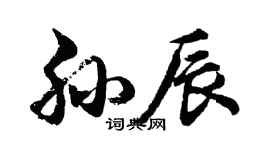 胡問遂孫辰行書個性簽名怎么寫