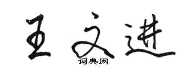 駱恆光王文進行書個性簽名怎么寫