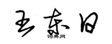 朱錫榮王東日草書個性簽名怎么寫