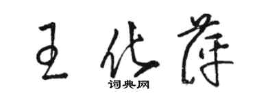 駱恆光王化萍草書個性簽名怎么寫