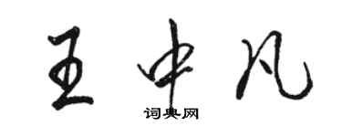 駱恆光王中凡行書個性簽名怎么寫