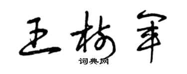 曾慶福王樹軍草書個性簽名怎么寫