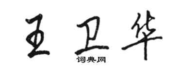 駱恆光王衛華行書個性簽名怎么寫