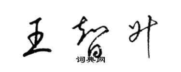 梁錦英王智升草書個性簽名怎么寫