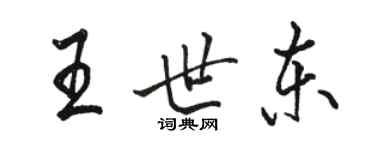 駱恆光王世東行書個性簽名怎么寫