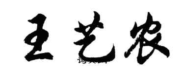 胡問遂王藝農行書個性簽名怎么寫