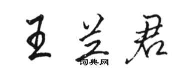 駱恆光王蘭君行書個性簽名怎么寫