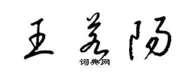 梁錦英王若陽草書個性簽名怎么寫