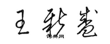 駱恆光王新盛草書個性簽名怎么寫