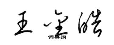 梁錦英王金皓草書個性簽名怎么寫