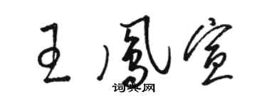 駱恆光王鳳宣草書個性簽名怎么寫
