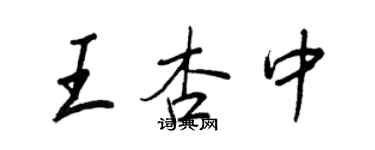 王正良王杏中行書個性簽名怎么寫