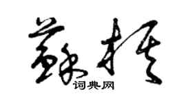 曾慶福蘇棋草書個性簽名怎么寫