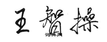 駱恆光王智操行書個性簽名怎么寫