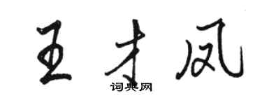 駱恆光王才鳳行書個性簽名怎么寫