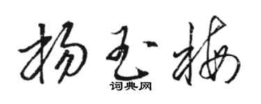 駱恆光楊玉梅草書個性簽名怎么寫