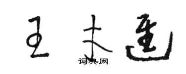 駱恆光王才進草書個性簽名怎么寫