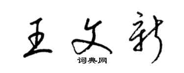 梁錦英王文新草書個性簽名怎么寫