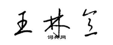 梁錦英王林意草書個性簽名怎么寫