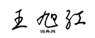 梁錦英王旭紅草書個性簽名怎么寫