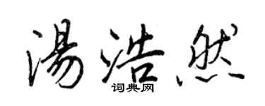 王正良湯浩然行書個性簽名怎么寫