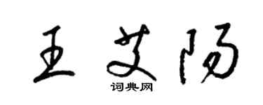 梁錦英王艾陽草書個性簽名怎么寫