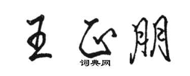 駱恆光王正朋行書個性簽名怎么寫