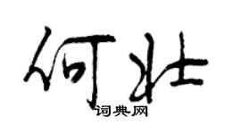 曾慶福何壯行書個性簽名怎么寫