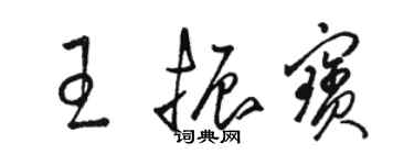 駱恆光王振寶草書個性簽名怎么寫