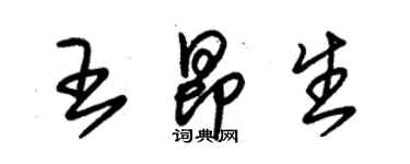 朱錫榮王昂生草書個性簽名怎么寫