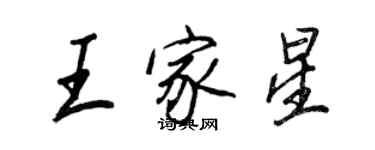 王正良王家星行書個性簽名怎么寫