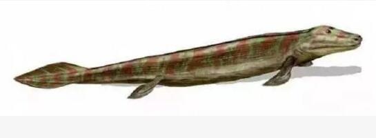 比恐龍還早的十大史前巨獸看完你該慶幸你活在現在