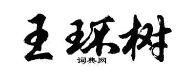 胡問遂王環樹行書個性簽名怎么寫