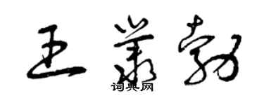 曾慶福王叢勃草書個性簽名怎么寫