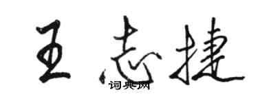 駱恆光王志捷行書個性簽名怎么寫