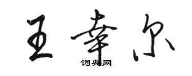駱恆光王幸爾行書個性簽名怎么寫