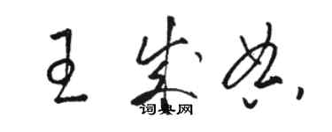 駱恆光王成典草書個性簽名怎么寫