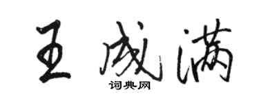 駱恆光王成滿行書個性簽名怎么寫