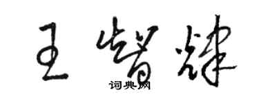 駱恆光王智輝草書個性簽名怎么寫