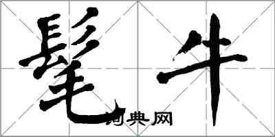 翁闓運髦牛楷書怎么寫