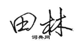 駱恆光田林行書個性簽名怎么寫