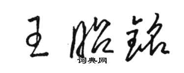 駱恆光王昭銘草書個性簽名怎么寫