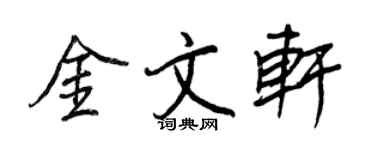王正良金文軒行書個性簽名怎么寫