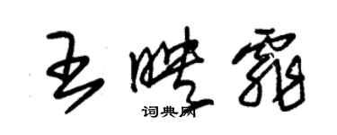朱錫榮王映霏草書個性簽名怎么寫