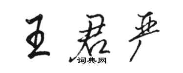 駱恆光王君嚴行書個性簽名怎么寫